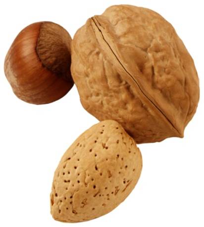 nuts - healthy snack