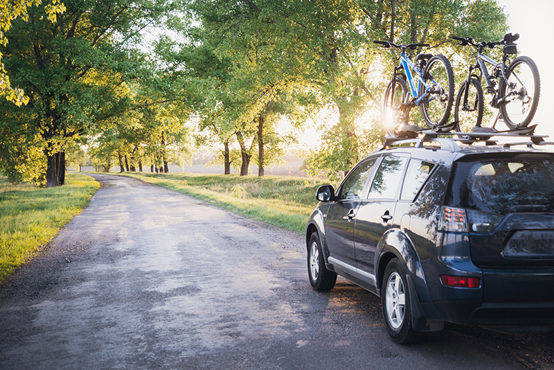 Car with bikes - auto insurance policies in tampa bay fl